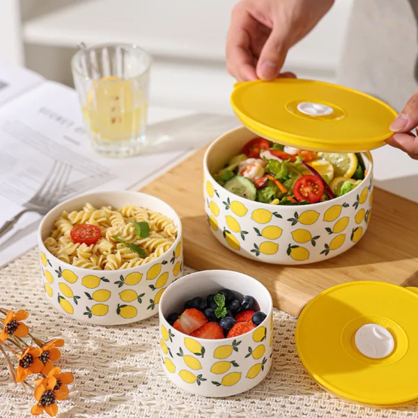 sg-11134201-8225o-mhv63l6gxr7nec.webp 3PC Ceramic Fresh Keeping Bowl Set